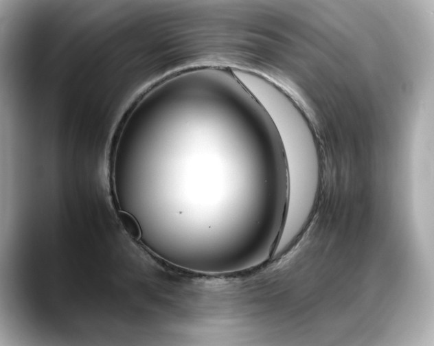 X0000088700896200705311213