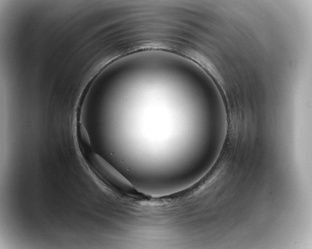 X0000088700898200705311213