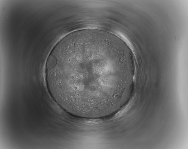 X0000088700899200705311213
