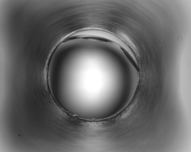 X0000088700900200705311213