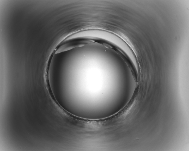 X0000088700901200705311213