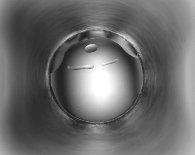 X0000088700902200705311213