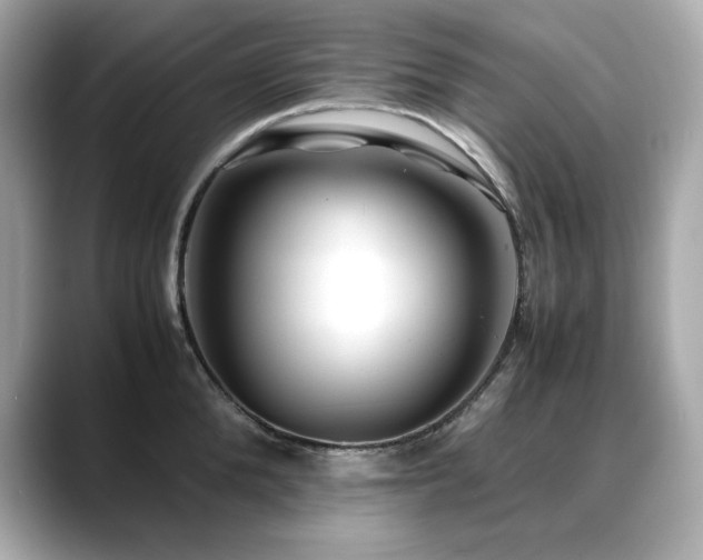 X0000088700904200705311213