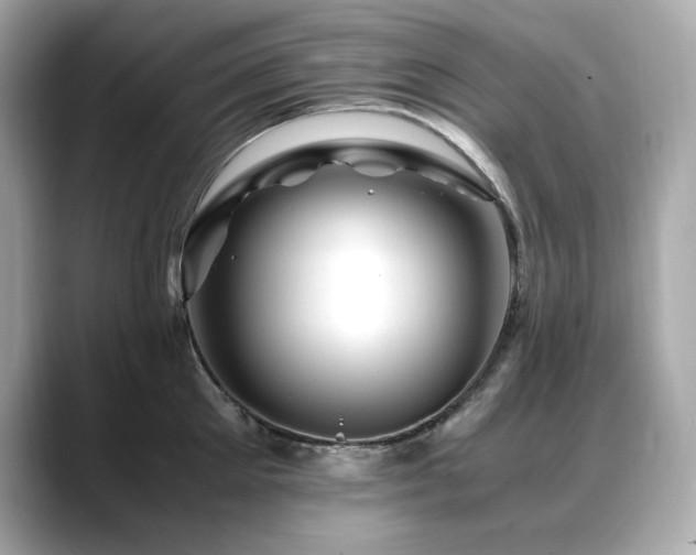 X0000088700905200705311213