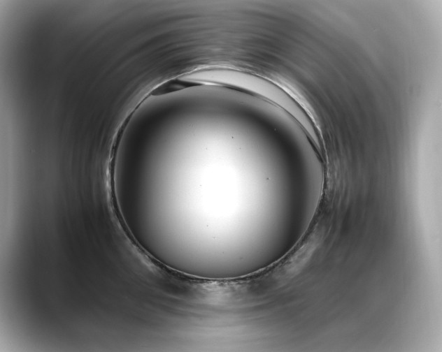 X0000088700906200705311213