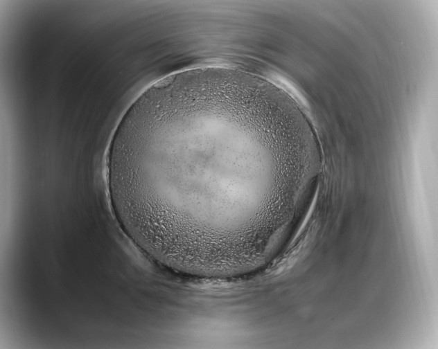X0000088700907200705311213
