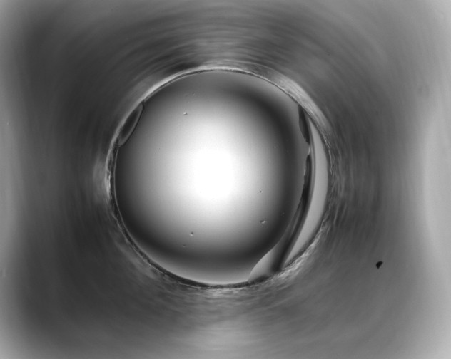 X0000088700908200705311213