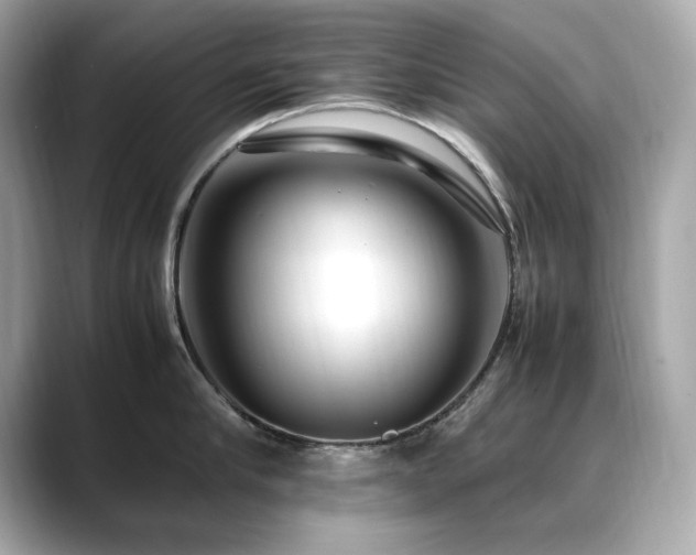 X0000088700910200705311212