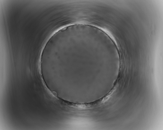 X0000088700911200705311212