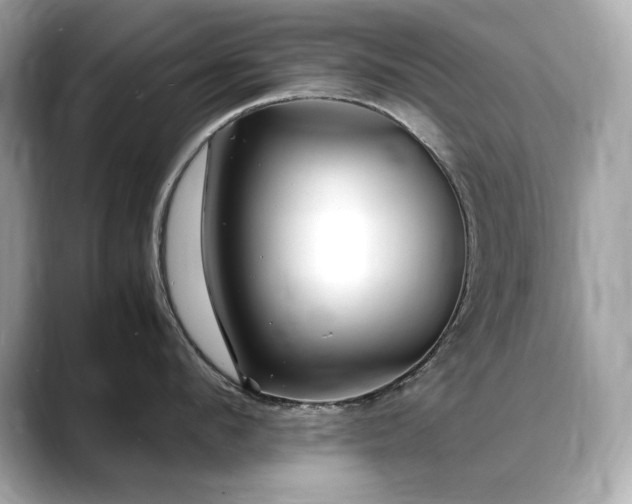 X0000088700912200705311212