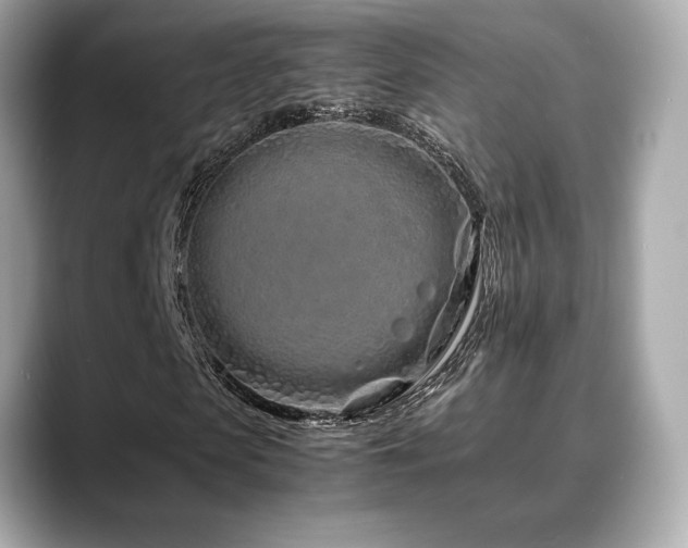 X0000088700913200705311212