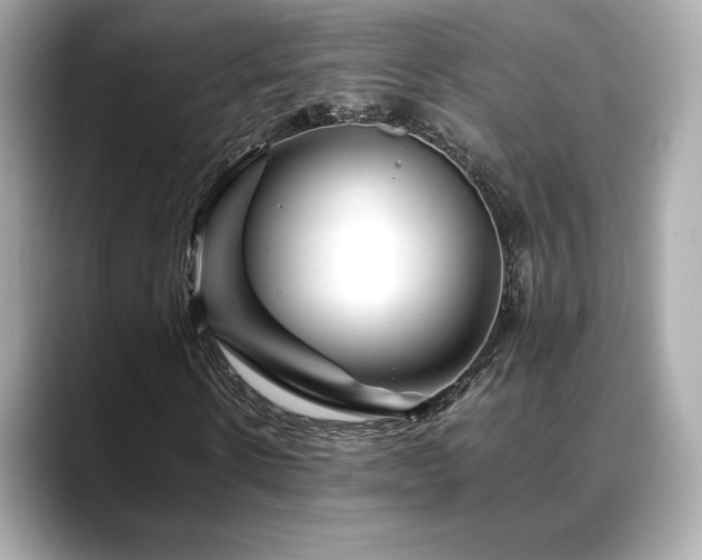 X0000088700914200705311212