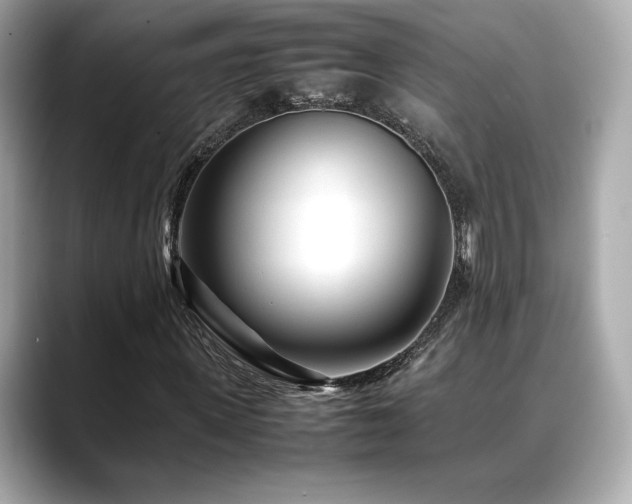 X0000088700915200705311212