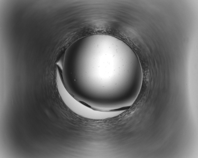 X0000088700916200705311212