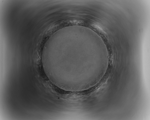X0000088700917200705311212