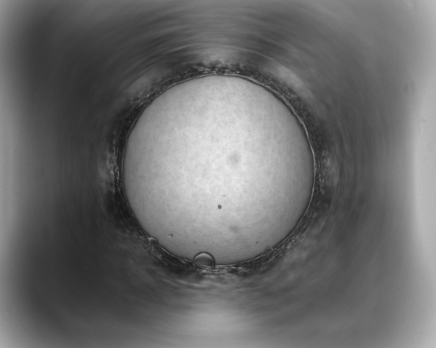 X0000088700918200705311212
