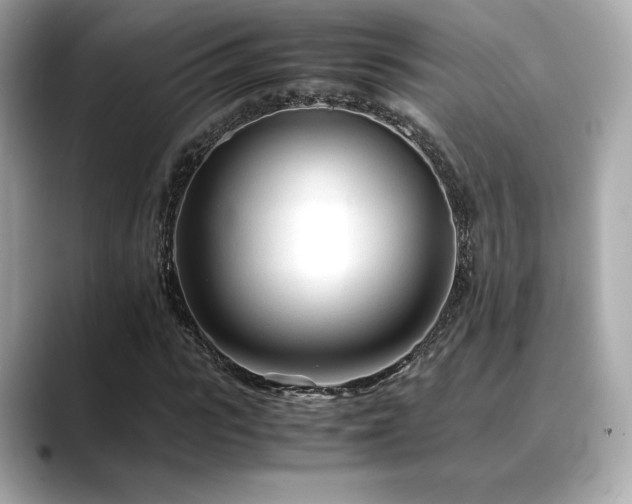 X0000088700919200705311212