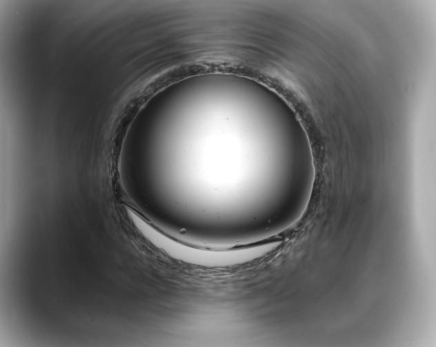 X0000088700920200705311212