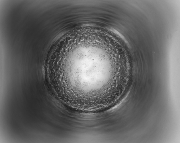 X0000088700921200705311212