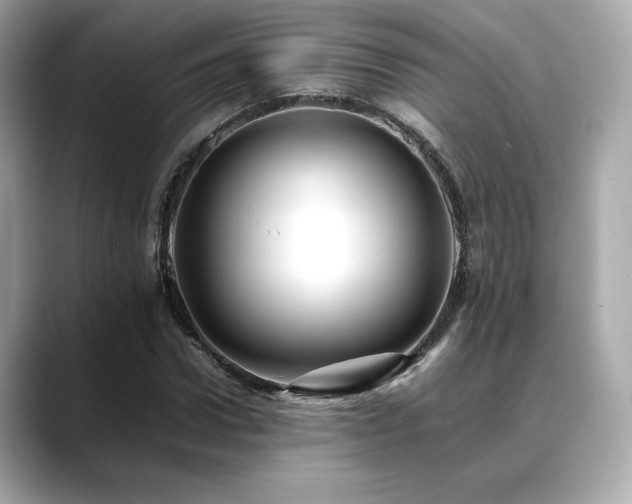 X0000088700922200705311212