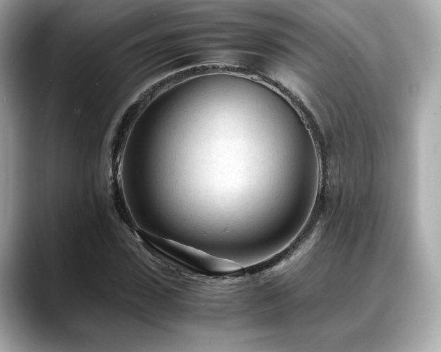 X0000088700923200705311212