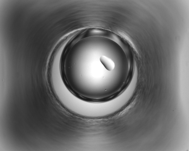 X0000088700924200705311212