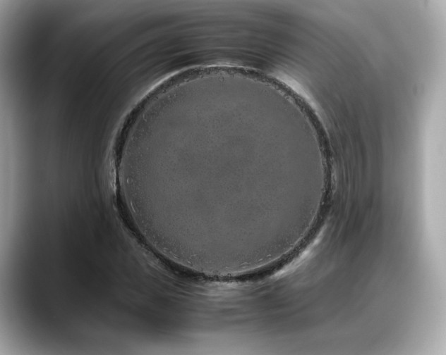 X0000088700925200705311212