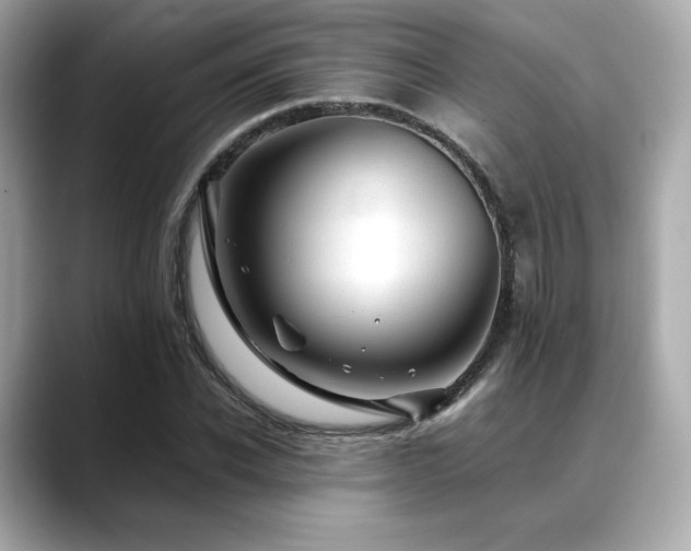 X0000088700926200705311212
