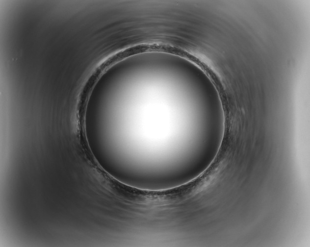 X0000088700927200705311212