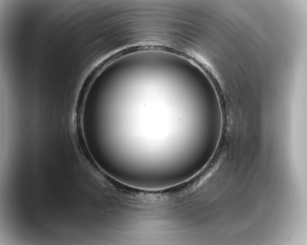 X0000088700928200705311212