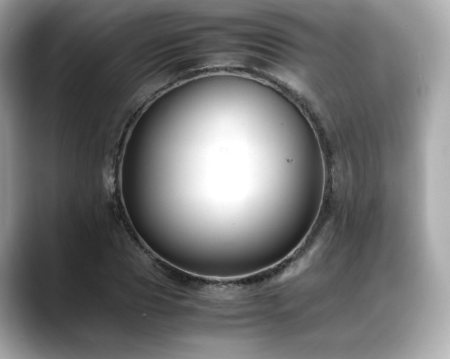 X0000088700929200705311212