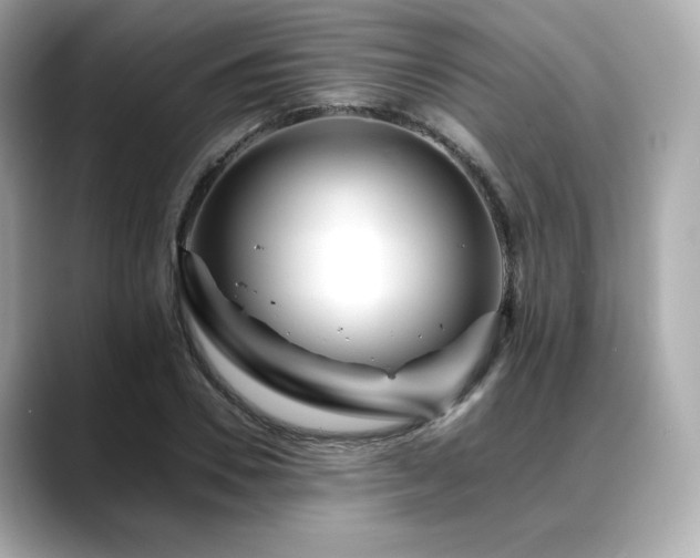 X0000088700930200705311212