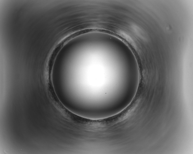 X0000088700931200705311212