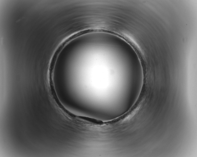 X0000088700932200705311212