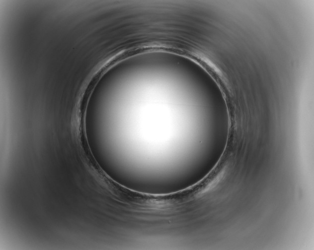 X0000088700933200705311212