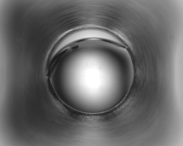 X0000088700934200705311212