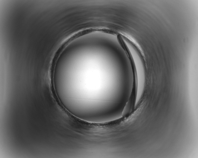 X0000088700935200705311212