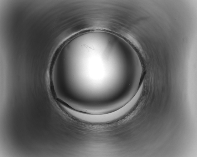 X0000088700936200705311212