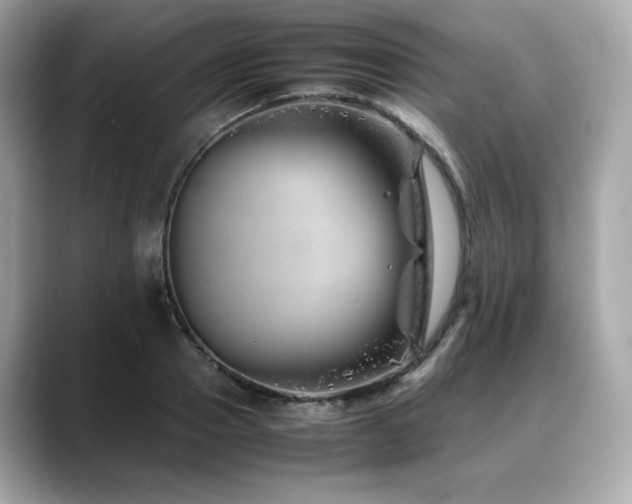 X0000088700937200705311212