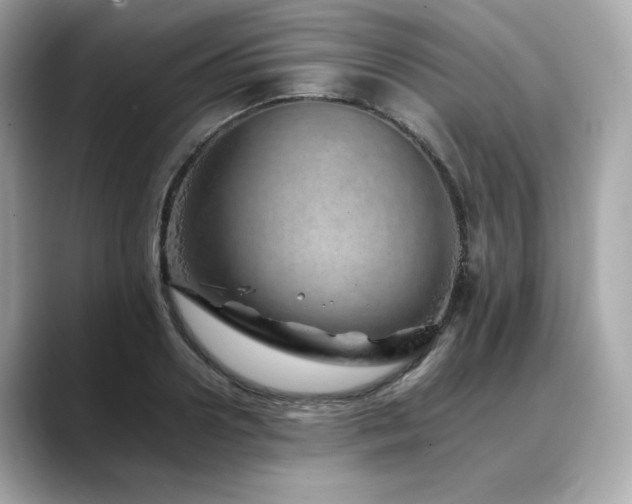X0000088700938200705311212