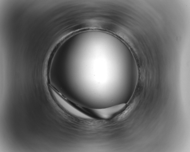 X0000088700939200705311212