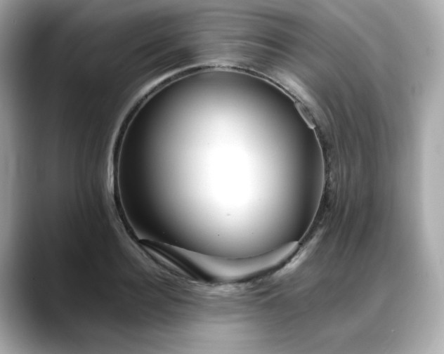 X0000088700940200705311212