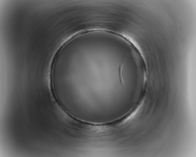 X0000088700941200705311212