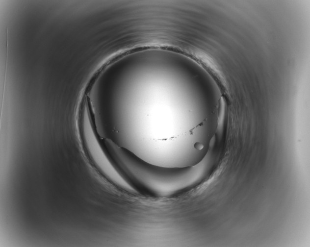 X0000088700942200705311212