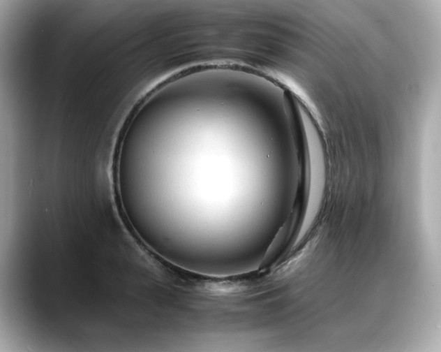 X0000088700943200705311212