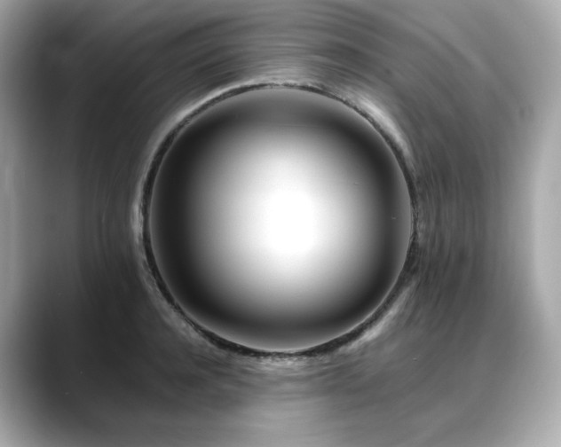 X0000088700944200705311212