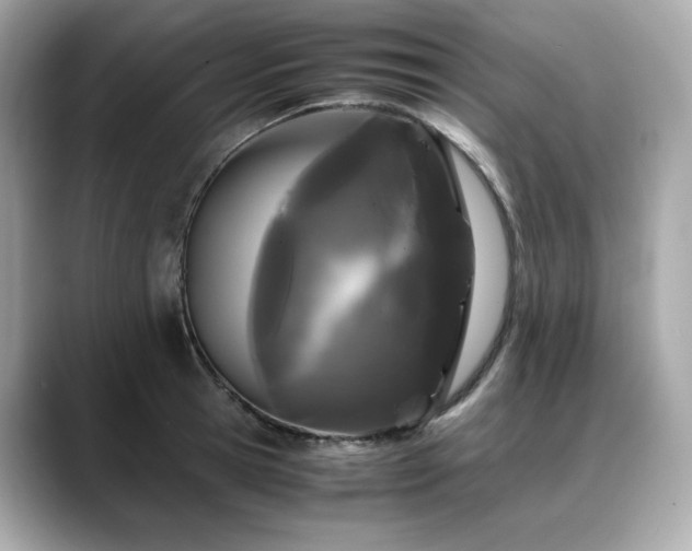 X0000088700945200705311212