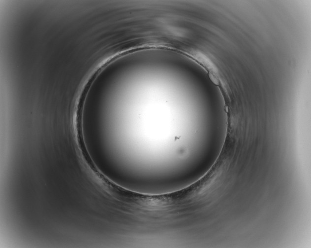 X0000088700947200705311212