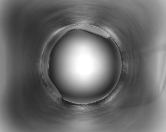 X0000088700948200705311212