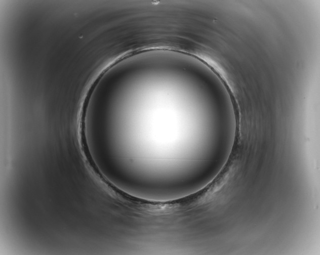 X0000088700949200705311212